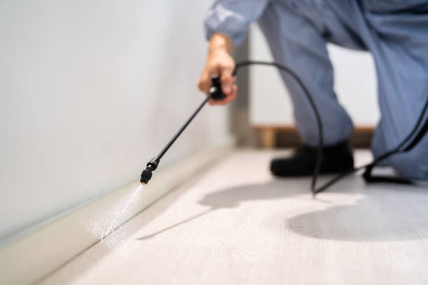 Licensed Rodent Control service in Wrangell City and Borough County, AK - Nex Pest Control